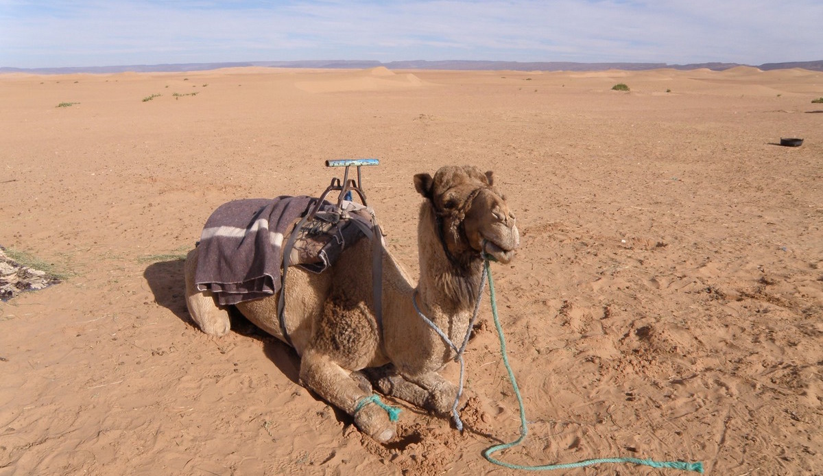 Chute libre au Maroc en 2024